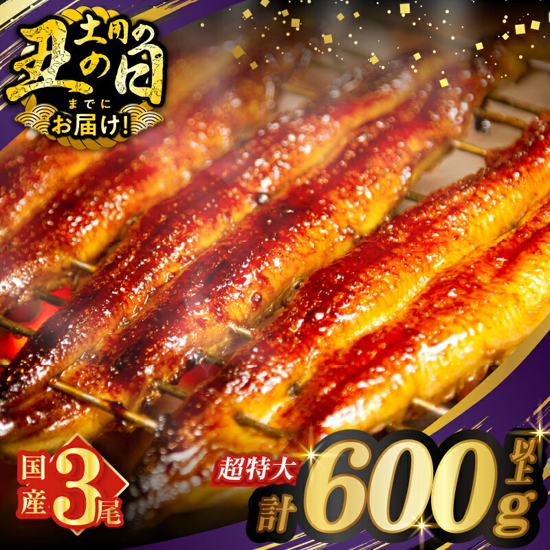 【ふるさと納税】【丑の日までにお届け！！】≪選べる内容量≫ うなぎ 蒲焼 特大 3尾 さんしょう たれ付き 計600g以上 総重量1.8kg以上 定期便 丑の日 ひつまぶし うな重 国産 鰻 高評価 贈り物 ギフト うなぎ長焼 鰻楽 小分け 宮崎県 都農町 送料無料 レビューキャンペーン