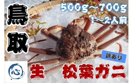 鳥取県産　生　松葉ガニ（５００ｇ～７００ｇ）（1～2人前）訳アリ