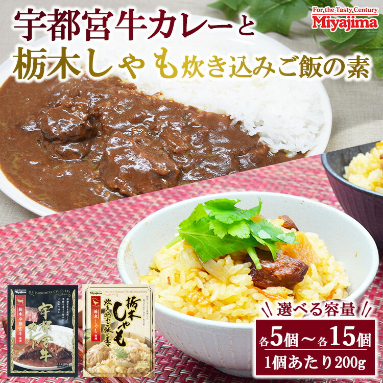 【ふるさと納税】【選べる容量】宇都宮牛カレー 200g＋栃木しゃも炊き込みご飯の素 200g
