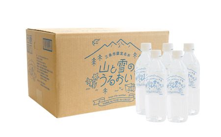 ナチュラルミネラルウォーター 山と雪のうるおい 500ml×48本 軟水 天然水 ミネラルウォーター ナチュラルミネラルウォーター 飲料水 湧水【014S061】