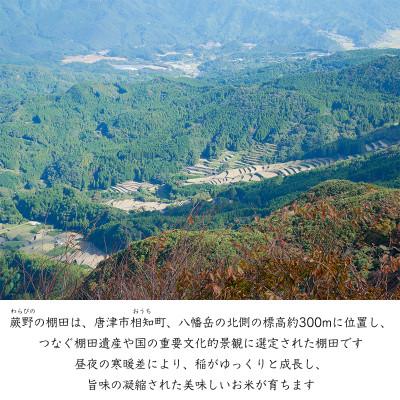 ふるさと納税 唐津市 【令和7年産】特別栽培米「棚田米蕨野」15kg(5kg×3袋) |  | 01