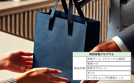 「買取大吉 バレーボールネーションズリーグ 2025 千葉大会」海外戦 女子：スタンド自由席+日本戦 女子：スタンドBコーナー＋特別体験プログラム(プラスプラン)　 7月10日