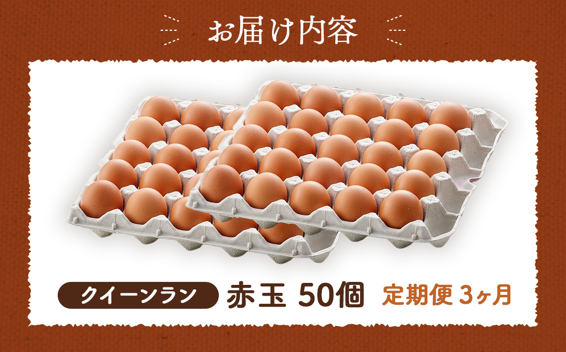 黄身がつかめる新鮮地たまごクイーンラン 赤玉50個入《定期便3ヶ月》