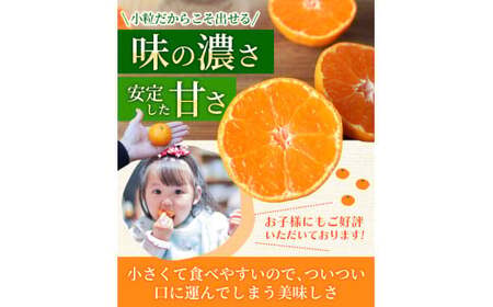 お試しにピッタリ! 温州みかん 「小粒っこ」 2kg※箱込み ※秀優混合 【2S~3Sサイズおまかせ】【2025年10月中旬~2026年1月下旬までに順次発送】(極早生・早生・中生・晩稲)<味好農園>