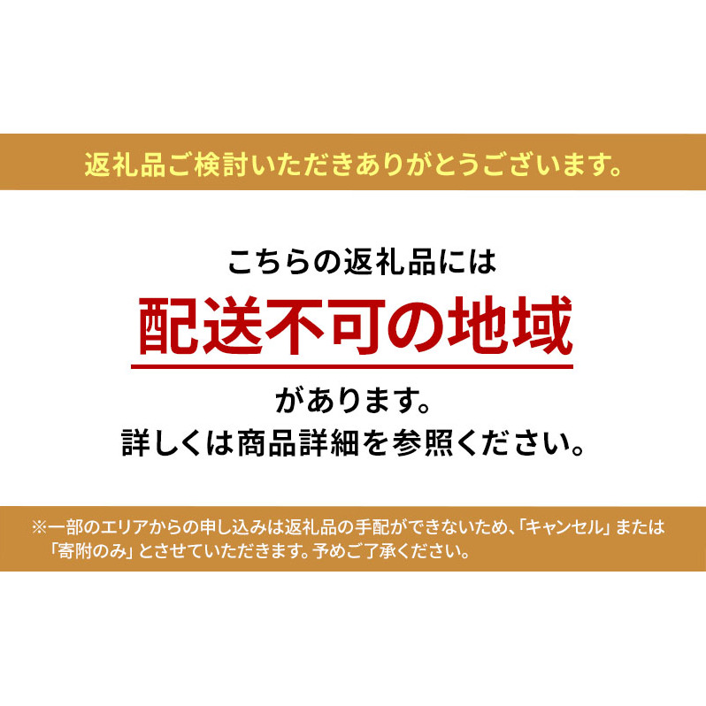 日野　17プロフィア フラットキット センター席用 車 部品 車両 _イメージ5