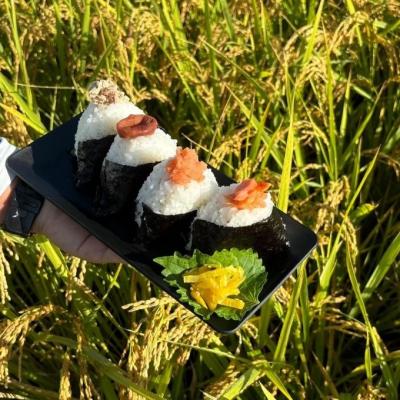 ふるさと納税 小郡市 定期便12ヶ月 米 5kg 令和7年度産 ひのひかり 筑後小郡産 農家直送[No5354-2314] |  | 01