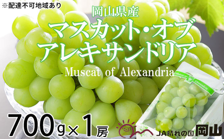 ぶどう 2025年 先行予約 マスカット ・オブ・アレキサンドリア 約700g×1房  ブドウ 葡萄  岡山県産 国産 フルーツ 果物 ギフト