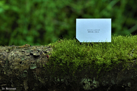 【KALCANO】小国杉ジュエリー ichi-いち ピアス ジュエリー jewelry アクセサリー レディース 熊本 阿蘇小国杉 工芸品 木製 淡水パール ギフト プレゼント ジュエリーケース付 O
