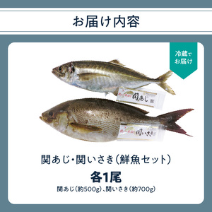 E04022　関あじ・関いさき（鮮魚）セット（各1尾）