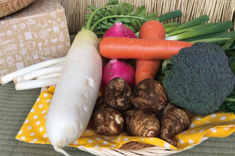 【10ヶ月定期便】★毎月上旬発送★身体が喜ぶ季節の野菜 10～12品目｜野菜 やさい 野菜セット セット 詰め合わせ おまかせ 定期便 野菜定期便 茨城県 行方市(BI-110)