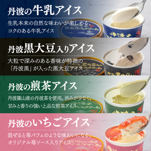 【寄付額改定】アイスクリーム  12個(4種類×3個)  丹波篠山アイスクリーム