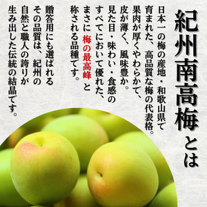 冷凍 梅 5kg 家庭用 / 南高梅 訳あり 黄梅 完熟梅 梅ジュース 梅酒 和歌山 ※6月より順次発送 ※北海道・沖縄・離島への配送不可 【ikd510-c-5】