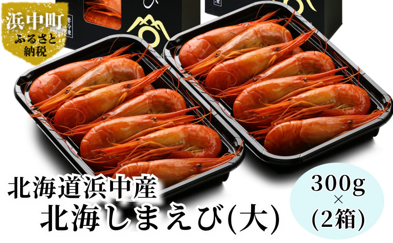 
【数量限定】北海しまえび(大サイズ)300g×2箱（北海道浜中町産）_H0023-012
