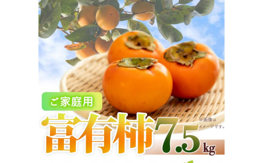 
                  ［ご家庭用わけあり］和歌山秋の味覚　富有柿　約７．５ｋｇ「2026年11月上旬以降発送予定」［UT47］
                