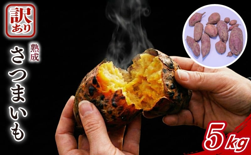 
                  訳あり 熟成 さつまいも 5kg 以上 品種おまかせ 土付き サイズ不揃い 紅あずま 紅はるか シルクスイート 安納 天ぷら 芋ご飯 大学芋 焼き芋 ハイフラワー 埼玉県 羽生市
                