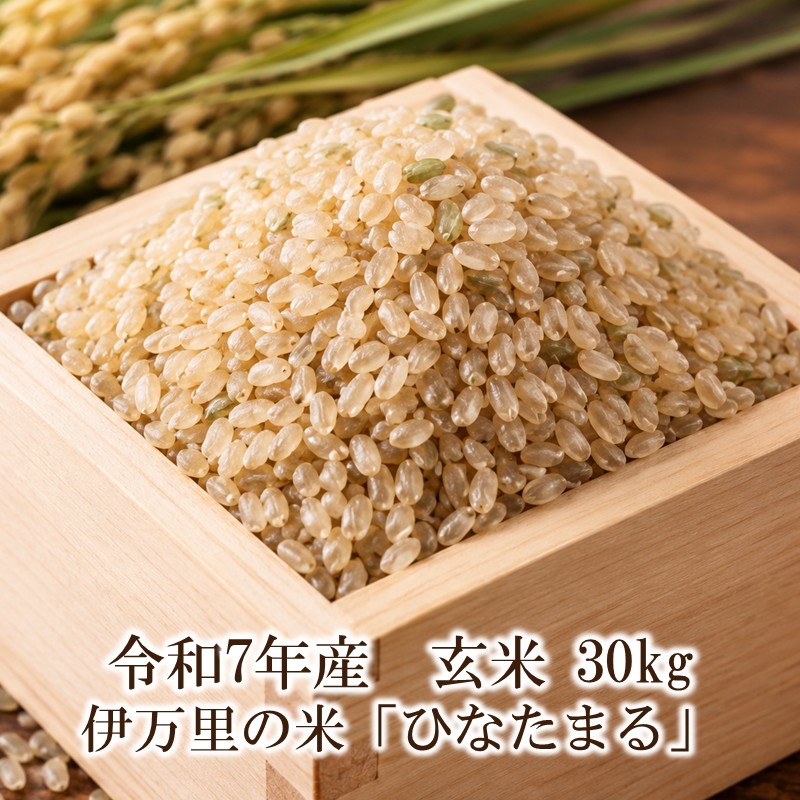 令和7年産 伊万里の米「ひなたまる」玄米 30kg 003-B1111