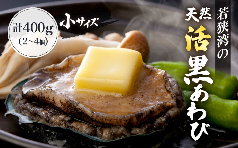 
日本海若狭湾の 天然 活黒アワビ 計400g (2～4個) 小サイズ 鮮度抜群 刺身 お造り バター焼き BBQ 入手困難 あわび アワビ 鮑 クロアワビ 黒あわび【2024年10月中旬まで発送】[m17-d005]
