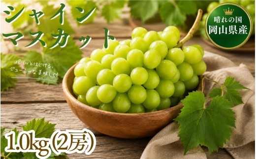 【2026年先行予約】晴れの国の完熟シャインマスカット「岡山シャマス」 1.0kg(2房) / 岡山県 ぶどう シャインマスカット 糖度 18度 【tppn004-01】