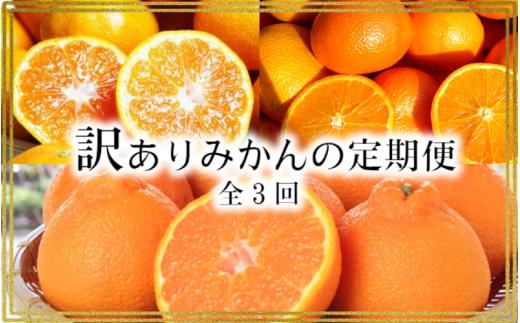 【3か月定期便】たっぷり届く♪訳ありみかんの定期便 / みかん定期便 みかん 果物 フルーツ定期便 フルーツ 柑橘 和歌山 有田ミカン 有田みかん【tkb113】
