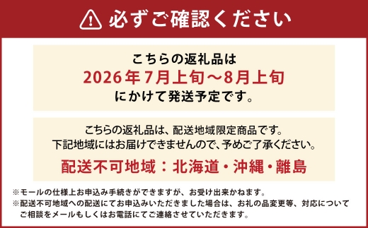 岡山白桃5～6玉約1.5kg