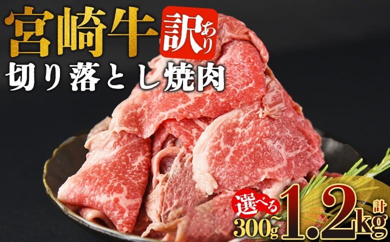 
                  ＜訳あり 宮崎牛 切り落とし焼肉＞入金確認後、14営業日以内に順次発送 【 焼肉用 焼き肉 やきにく 訳アリ品 わけあり A5等級 ランク 高級 お肉 和牛 黒毛和牛 ブランド牛 柔らかい お家焼肉 BBQ バーベキュー ご褒美 新鮮 鮮度 】
                