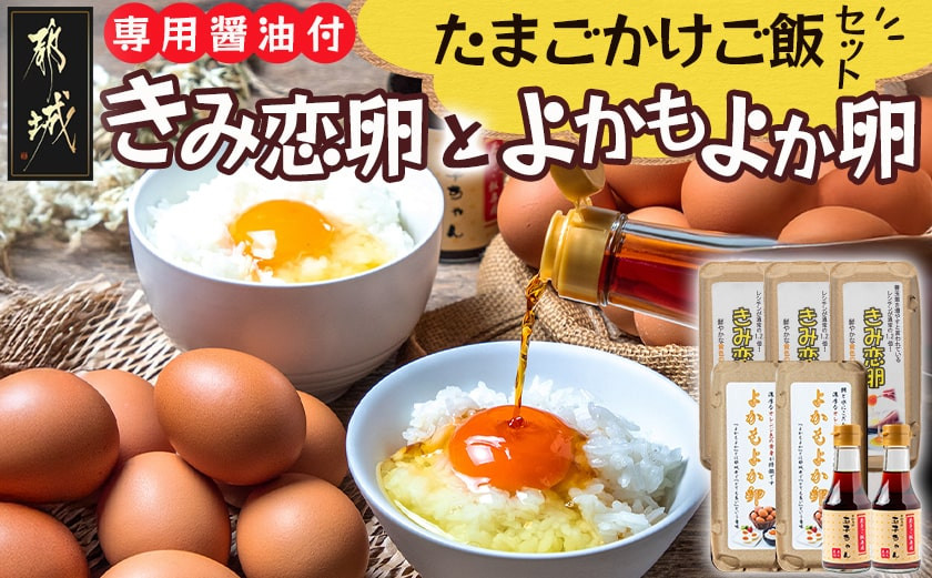 「きみ恋卵」と「よかもよか卵」のたまごかけご飯セット_12-2902_(都城市) きみ恋卵 よかもよか卵 Ｍサイズ たまごかけご飯専用醤油「玉子ちゃん」 甘口 卵かけご飯 朝ごはん 朝食