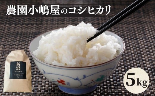 【先行予約】令和7年産新米　 農園小嶋屋の五泉産コシヒカリ 5kg [2025年10月下旬以降順次発送]