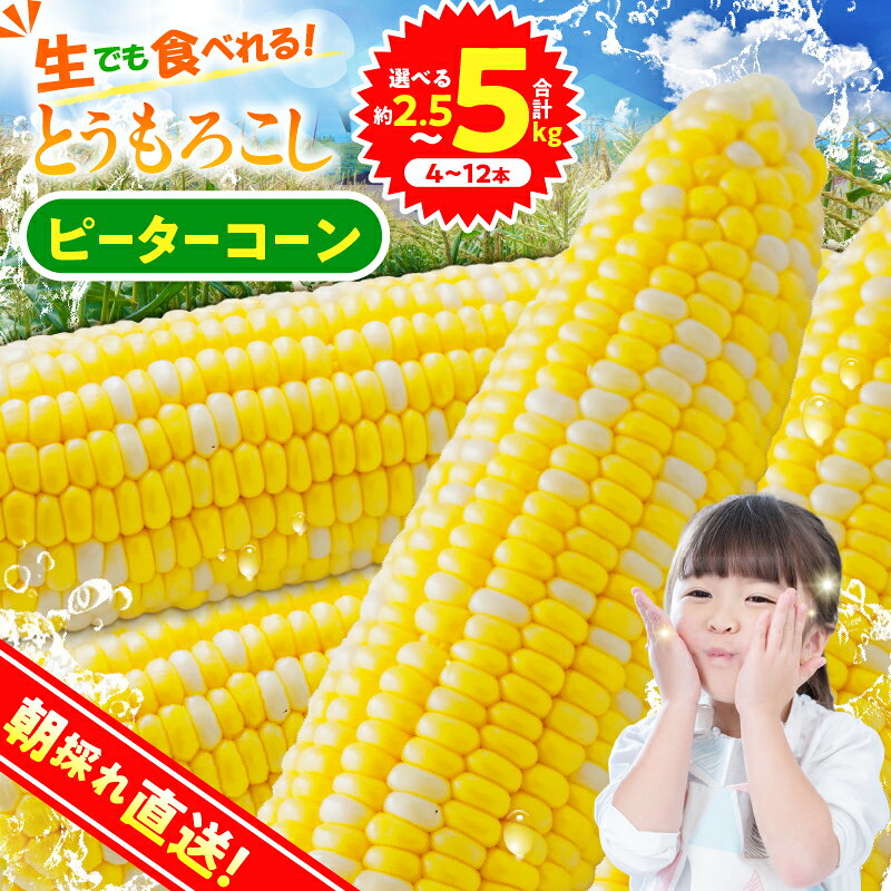 【ふるさと納税】 ★ 2027年先行予約★ とうもろこし ピーターコーン 約2.5kg(4～6本入） 約5kg(10～12本) 朝採れ 人気 とうきび 野菜 お取り寄せ スイートコーン 産地直送 農家直送 直送 新鮮 贈り物 贈答 自宅用 食用 送料無料 山梨県 忍野村 ※沖縄県、離島不可