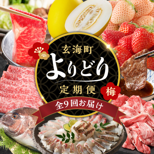 【計9回お届け】玄海町よりどり定期便（梅）