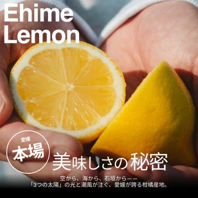 ふるさと納税 八幡浜市 【美味しさそのまま】訳ありレモン3kg 愛媛県産 YELLOW LEMON【99-9】 |  | 01