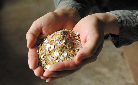 Y988 【3か月定期便】平飼い天美卵30個〈大江ノ郷自然牧場より直送〉