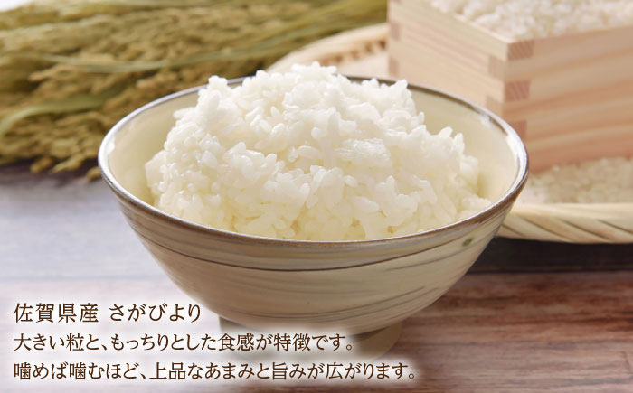 【2025年発送分 先行予約】令和7年産 さがびより5kg 白米 / 精米 / 佐賀県 / 有限会社中島商店 [41AGAC007]