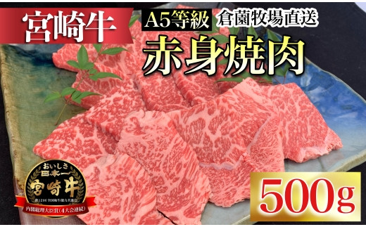 
【C168・百名店の味をご自宅で！】A5等級宮崎牛赤身焼肉用　500g（国産 牛肉 国産牛 和牛 黒毛和牛 宮崎牛 赤身 焼肉）
