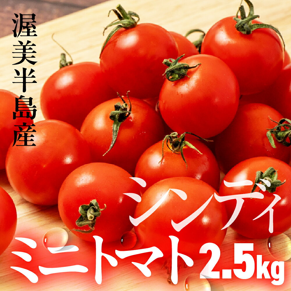 【ふるさと納税】ミディトマト『シンディ』2.5kg　|トマト とまと ミディトマト サラダ サンドイッチ 野菜 やさい 贈答 プレゼント 贈り物 甘い おいしい 冬 春 JA 農協 JA愛知みなみ