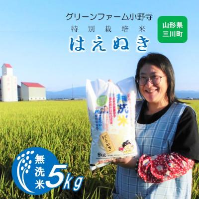 ふるさと納税 三川町 【令和7年産・精米】グリーンファーム小野寺の【無洗米】はえぬき5kg PO1-004
