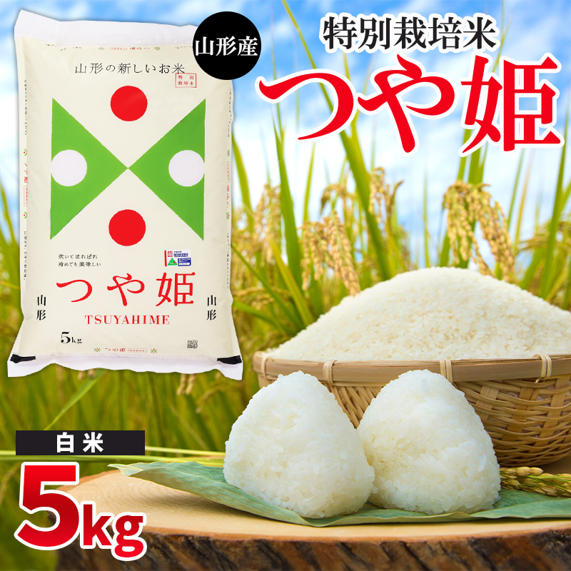 令和6年産 山形産 特別栽培米 つや姫【白米】 5kg FY24-522