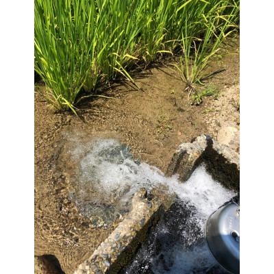 ふるさと納税 五泉市 令和7年産 新潟県五泉産　新之助6kg |  | 03