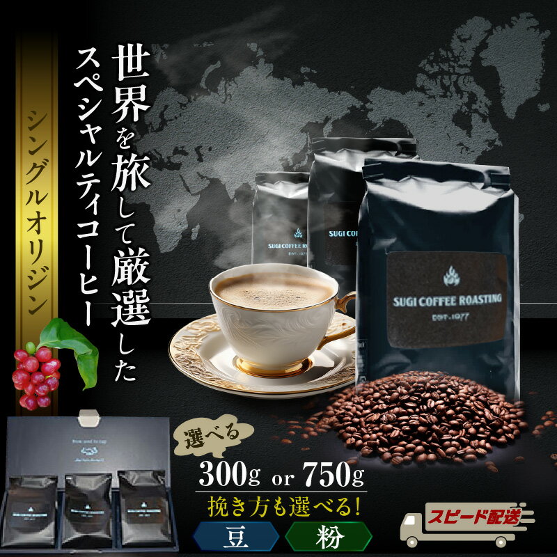 【ふるさと納税】ローストマスター 焙煎 おすすめ 厳選 世界の スペシャルティ コーヒー 3種類 【内容量選択：100g×3袋《計300g》 or 250g×3袋《計750g》】【挽き方をお選びいただけます】珈琲豆 挽き方 豆 粗挽き 中挽き 細挽き エスプレッソ 自家焙煎 こだわり 送料無料