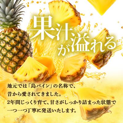 ふるさと納税 石垣市 【先行予約】夏実パイン(ハワイ種)大玉6個 計7.8kg《2026年7月下旬発送》 |  | 01