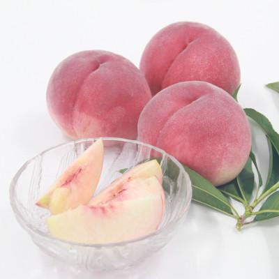 ふるさと納税 山梨市 【発送月固定定期便】フルーツ定期便全2回 |  | 02