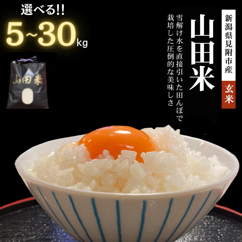 【ふるさと納税】 米 こめ ★R7年産★ 新米 山田米 玄米 30kg 20kg 10kg 5kg 新潟県 見附市 新潟米 銘柄米 甘い 美味しい 人気 令和7年産 新潟産 送料無料 ご飯 おこめ 見附市ふるさと納税 ファーム喜左ヱ門