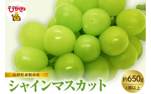 【2025年産　先行予約】山形県東根市産　シャインマスカット　約650ｇ　hi074-010-1