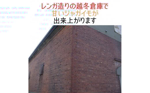 もうゆでちゃった 業務用 1kg×2袋_HD054-009