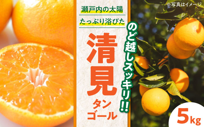 【先行予約】【2026年3月下旬から順次発送】清見タンゴール 5kg　愛媛県大洲市/永沼農園 [AGAW005]みかん オレンジ フルーツ ミカン 果物 愛媛みかん みきゃん スムージー デザート おやつ ヨーグルト 調味料 ドレッシング 隠し味 料理