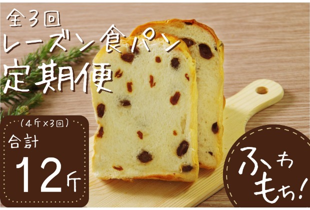 【室戸海洋深層水仕込み】レーズン食パン連続３回定期便 食パン ぱん 朝食 ギフト 定期便 人気 食事用パン おやつ レーズン ぶどう ドライフルーツ４斤×３回