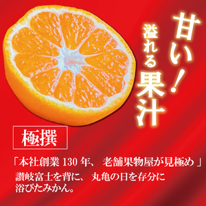 極撰！温州みかん　約５kg【11月以降発送開始】