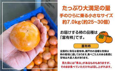 訳あり 富有柿 約7kg (約25個～30個) 柿 かき 果物 フルーツ