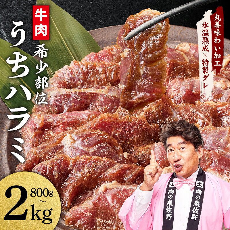 【ふるさと納税】【発送月が選べる】 うちハラミ 800g / 1.2kg / 2kg 希少部位 ハラミ 焼肉用 氷温熟成牛 牛肉 熟成肉 丸善特製ダレ 味付け 焼くだけ 簡単調理 BBQ バーベキュー 冷凍 満足度98％以上 高評価 年内発送 肉の泉佐野 泉佐野市 送料無料