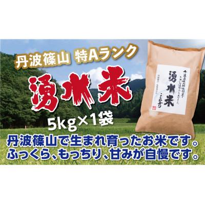ふるさと納税 丹波篠山市 丹波篠山産　特Aランク　湧水米(わきみずまい)精米　5kg×1袋