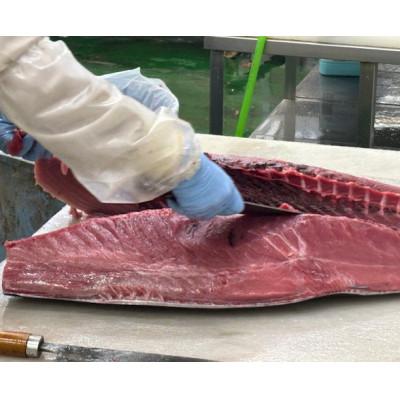 ふるさと納税 青森県 青森産　天然本マグロ　切り落とし |  | 02